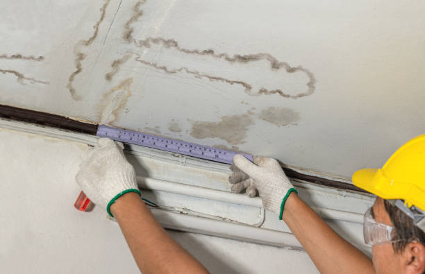 Reliable Water Damage contractor in Worthville, KY by Water Damage Irwin